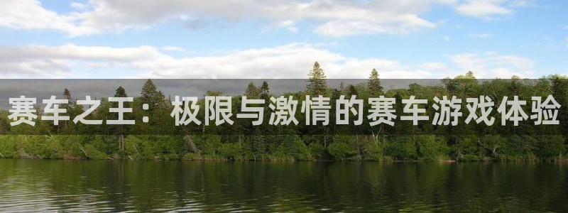 赛车之王：极限与激情的赛车游戏体验