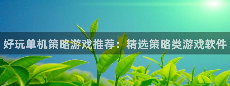 好玩单机策略游戏推荐：精选策略类游戏软件