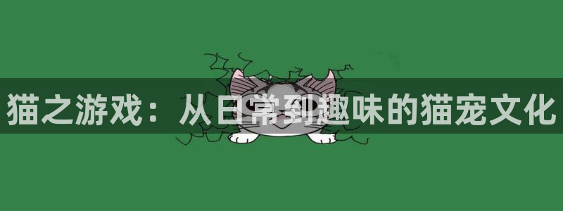 猫之游戏：从日常到趣味的猫宠文化