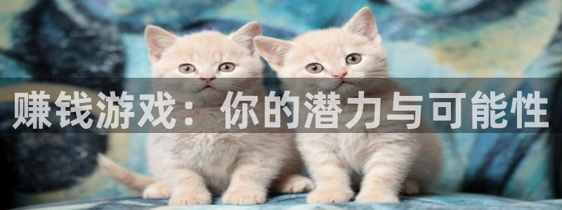 赚钱游戏：你的潜力与可能性