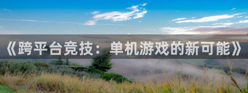 《跨平台竞技：单机游戏的新可能》