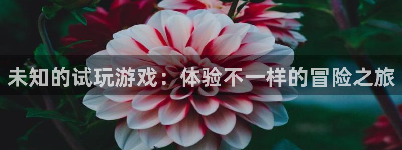 未知的试玩游戏：体验不一样的冒险之旅